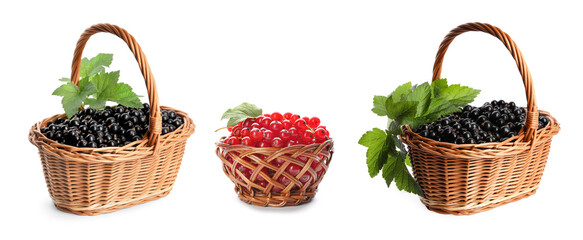 Fototapeta na wymiar Fresh red and black currants in wicker baskets on white background, collection
