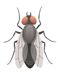 Housefly insect icon. Wildlife symbol in cartoon style. Scary insect. Graphic design element. Entomology closeup color illustration isolated on white background