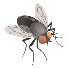Housefly insect icon. Wildlife symbol in cartoon style. Scary insect. Graphic design element. Entomology closeup color illustration isolated on white background