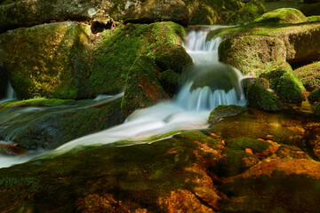 A waterfall on a mountain stream