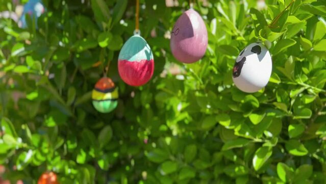 Easter eggs painted by 11-year-old boy hanging on a bush with green leaves. Kid's craft. Sunny outdoor in spring.