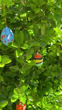 Easter eggs painted by 11-year-old boy hanging on a bush with green leaves. Kid's craft. Sunny outdoor in spring.