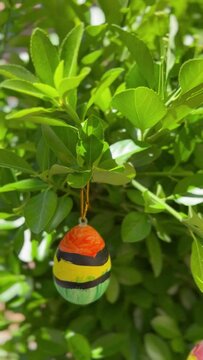 11-year-old boy hanging painted Easter eggs on a bush of green leaves. Children's craft. Sunny exterior in spring.