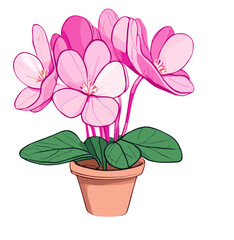 Obraz premium pink flower in a pot
