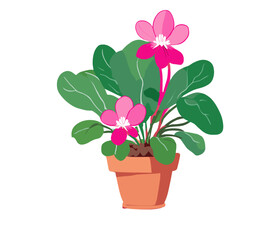 Naklejka na ściany i meble pink flower in a pot