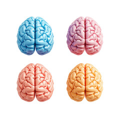 3d icon set of multicolored human brain isolated on transparent background