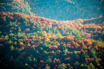 Fototapeta na wymiar autumn season in the south carolina mountains near lake jocassee