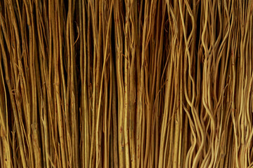 background of thin twigs