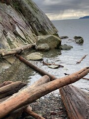 Fototapeta na wymiar Coastline with driftwood West Vancouver, British Columbia, Canada 