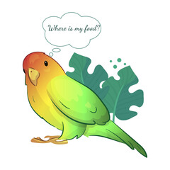 Flat illustration of a pet parrot, illustration with stroke and fill. The parrot is talking. A couple of parrots in love.