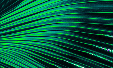 Obraz premium green and turquiose colorful abstract futuristic background with bright lines and rows for design and concetp , natural leaf texture in various colors