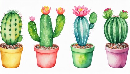watercolor funny cute cactus in pot set on white background watercolor cactus pots for decoration cactus and succulents set cute green cactus in flower pots