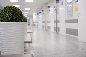 Empty modern hospital corridor, clinic hallway interior background with white chairs for patients...