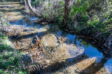 gemini springs