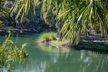 gemini springs