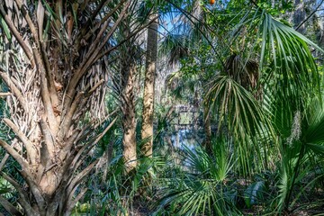 central florida