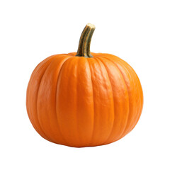 pumpkin on transparent background