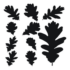 Set of vector silhouettes of a black shape of oak leaves - obrazy, fototapety, plakaty