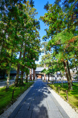 Fototapeta na wymiar 初秋の瑞巌寺　宮城県松島町　Zuiganji Temple in early autumn. Miyagi Pref, Matsushima town.