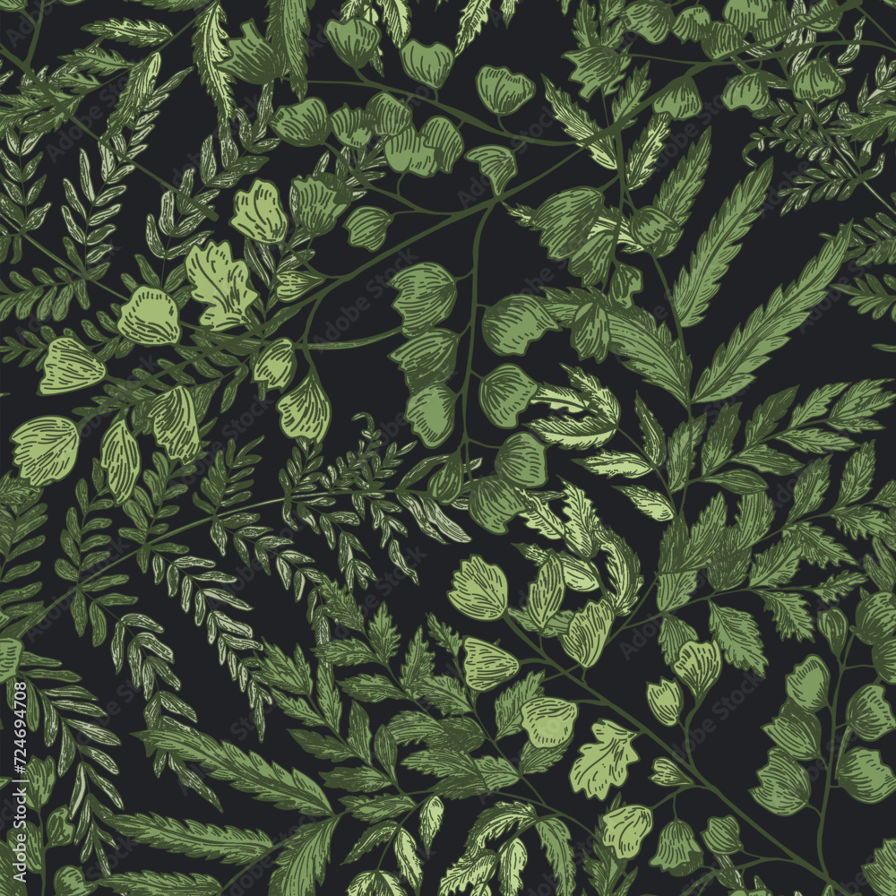 Aufkleber natural seamless pattern with ferns and green herbaceous plants on black background. gorgeous backdr