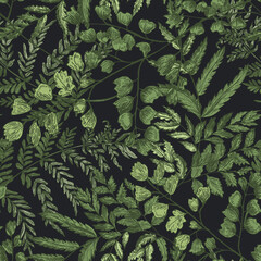 Natural seamless pattern with ferns and green herbaceous plants on black background. Gorgeous backdrop with wild forest herbs. Elegant botanical vector illustration for wrapping paper, textile print