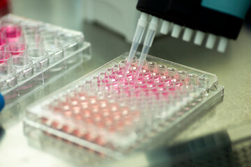 Cell culture experiments at fume hood