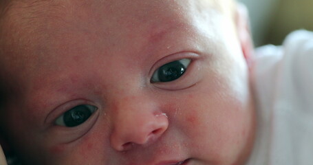 Newborn baby close-up first days of life awake observing learning about the world