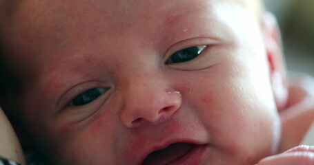 Newborn baby close-up first days of life awake observing learning about the world