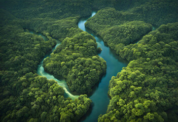 An expansive aerial view of a lush tropical rainforest