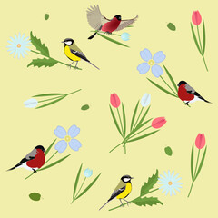 set of birds bullfinches and titmice among flowers of tulips, snowdrops, daisies and lenkas on a light yellow background