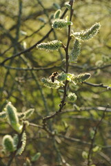 Natur in Deutschland 