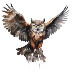 Owl isolated on transparent background