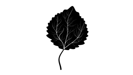 aspen leaf, black isolated silhouette