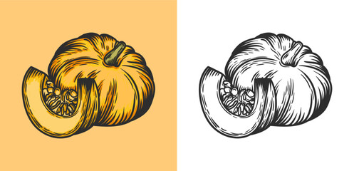 Hand-drawn Vintage pumpkin vector. vintage food engraving illustration. Vintage sketch element for labels, packaging, and card design. - obrazy, fototapety, plakaty