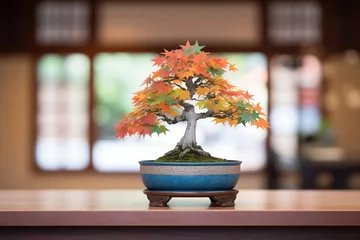 Rolgordijnen bonsai in traditional japanese ceramic pot with kanji © primopiano