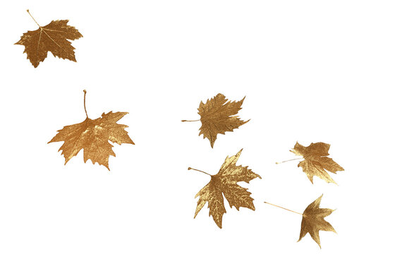 golden gold leaf leaves of platanus, falling rich autumn background - 3d rendering