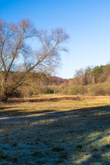 Sunny Winter Day in Naturschutzgebiet Sutschketal, Brandenburg, Germany
