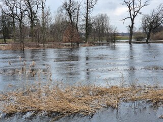 Widok na zalane tereny przy rzece. Rozlewisko. 