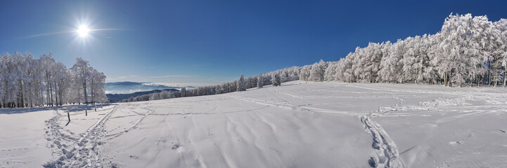 Fototapeta na wymiar Schwarzwald im Winter - Winterlandschaft mit Schnee und Sonne - Panorama