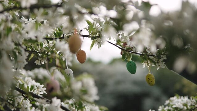 Unrecognizable man hangs green decorative quail egg on tree in backlit light. Person hangs Easter decoration on spring blooming tree in orchard in the morning.