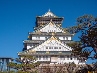 Obraz premium Osaka castle beauty scenery in winter