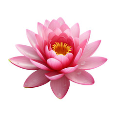 Water Lily flower isolated on transparent background
