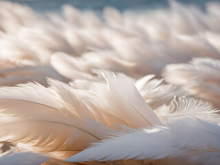 feathers of a white goose close-up. soft focus