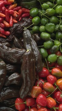 Top view ofdifferent varieties of chili: ripe and unripe Brazilian Red Olive, Tabasco,  Biquinho Yellow, and Peruvian Machu Picchu chilies. Table spin. Vertical video.