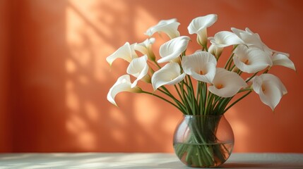  a vase filled with white flowers sitting on top of a table with a red wall behind it and a shadow of a window on the side of the wall behind the vase.