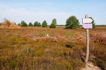 Sielmanns Naturlandschaft in der Kyritz-Ruppiner Heide	
