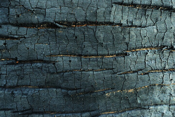 Close up Surface of charcoal. Black charcoal bark background