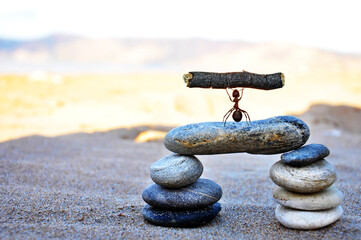 An ant with a stack of pebbles in black and white, arch shape, zen concept
