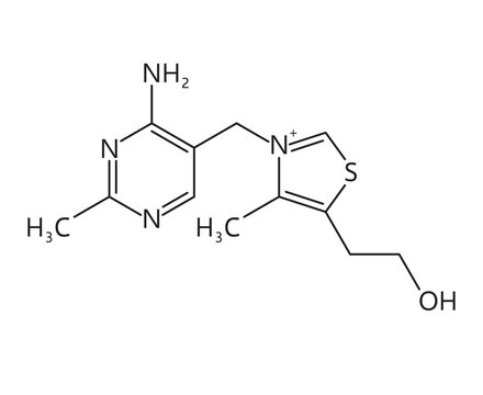 Vitamin B1 formula, thiamine chemical structure of molecular compounds. Vector vitamin B1 skeletal formula for health, chemistry, medicine and education. Thiamin micronutrient stick and ball model