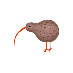 Illustration of a kiwi bird isolated